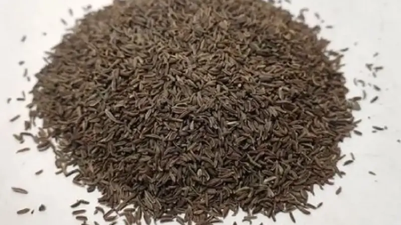 ادویه‌ای با اثرات ضد چاقی و محافظت قلبی بشناسید