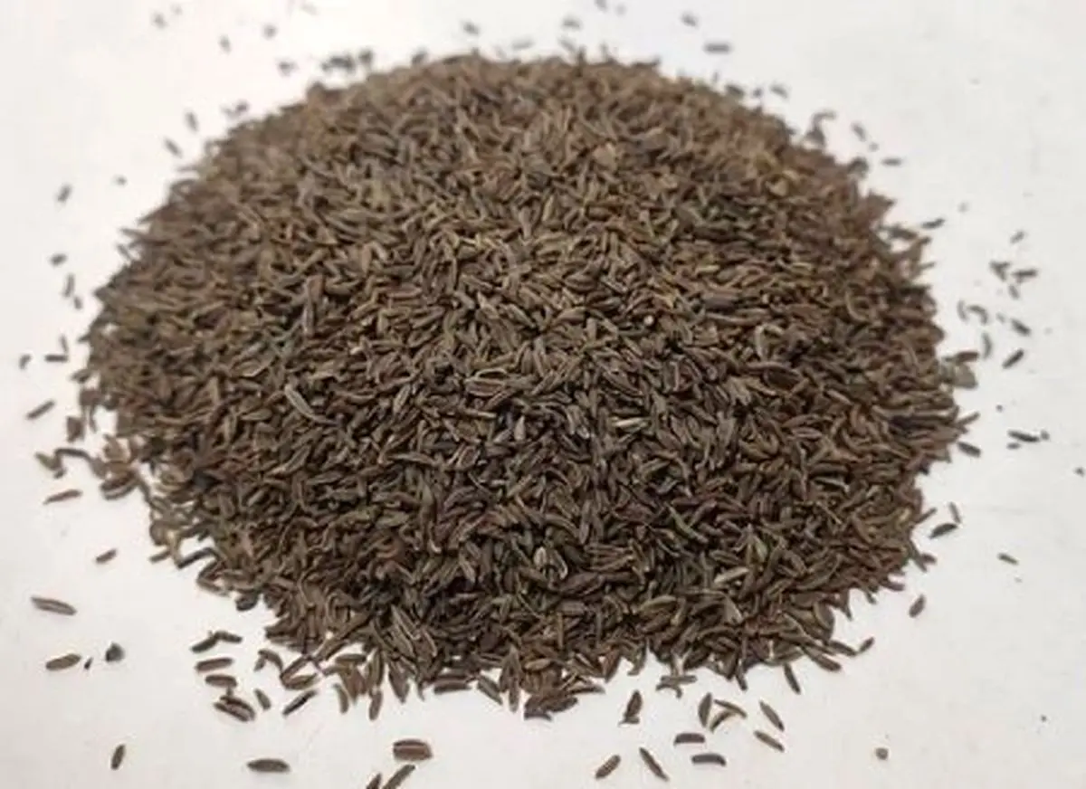 ادویه‌ای با اثرات ضد چاقی و محافظت قلبی بشناسید