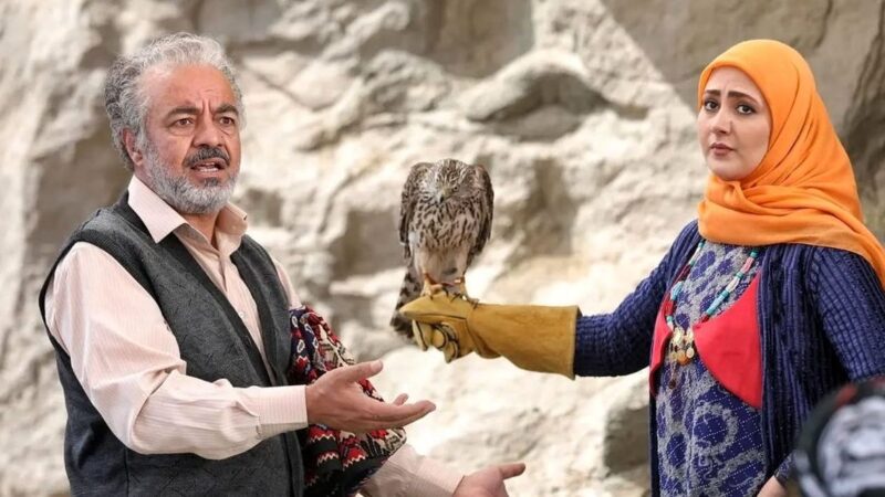 عکس| سفر در زمان؛ چهره «باوان دختر ادریس» 2 سال بعد سریال نون خ 5