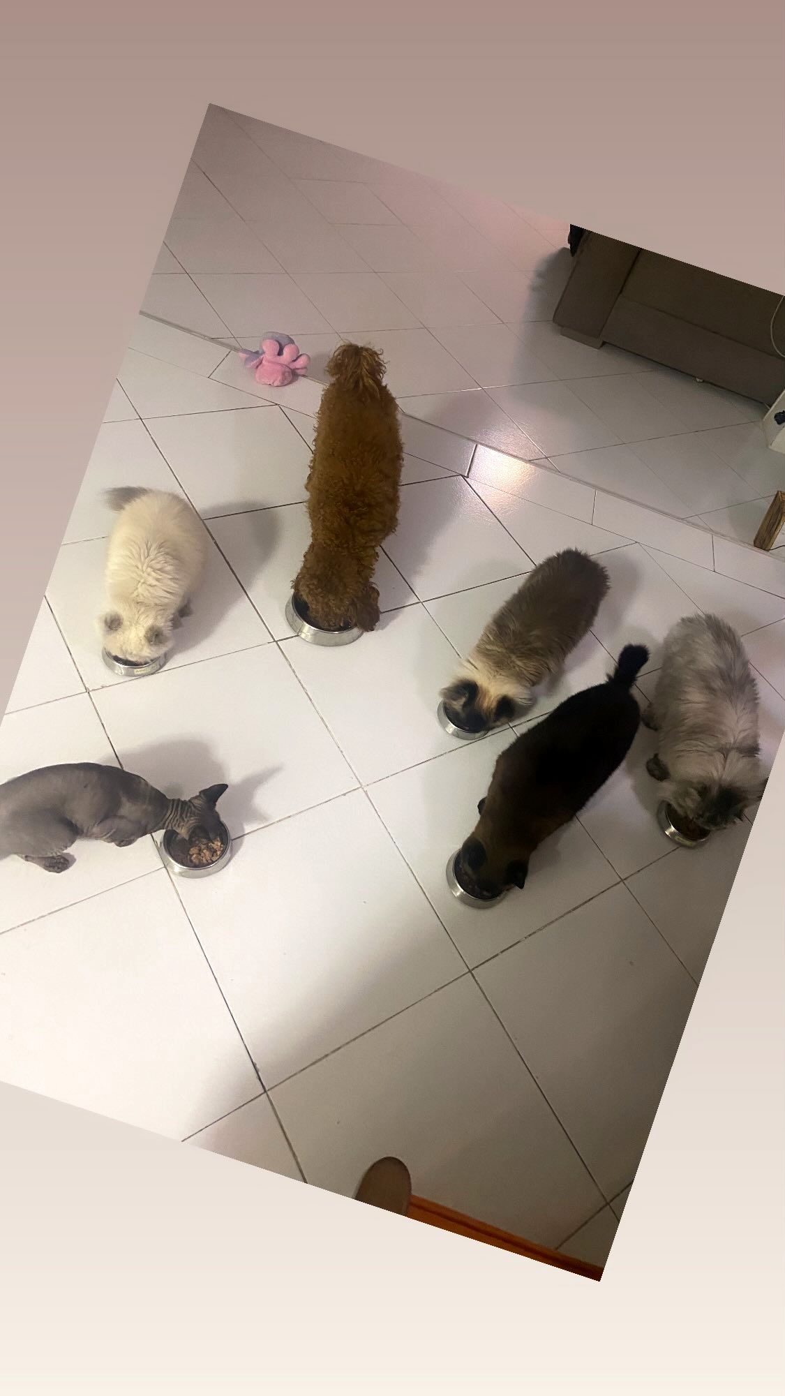 photo_2025-08-07_11-58-11