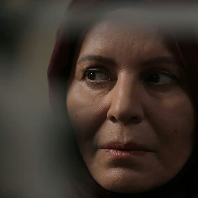 photo_2025-11-10_12-12-49