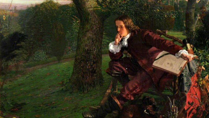 عکس| درخت معروف و تاریخی سیب نیوتن در کمبریج