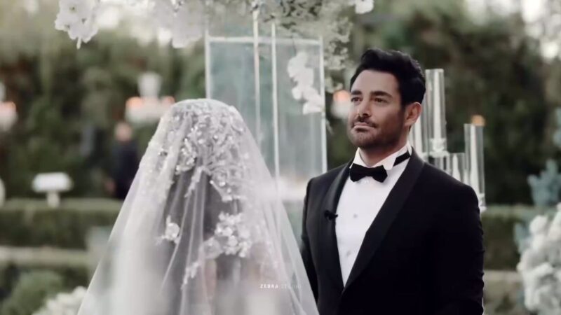 تولد لاکچری رضا گلزار با کیک خاصی از آیسان خانوم