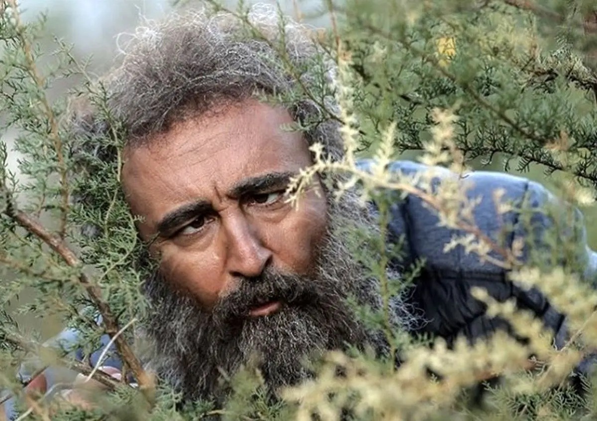 کیک تولد بامزه مهران احمدی با الهام از سیبیلاش؛ جشنی ساده و شیک