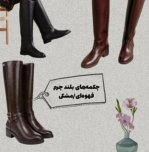 کفش‌های همیشگی