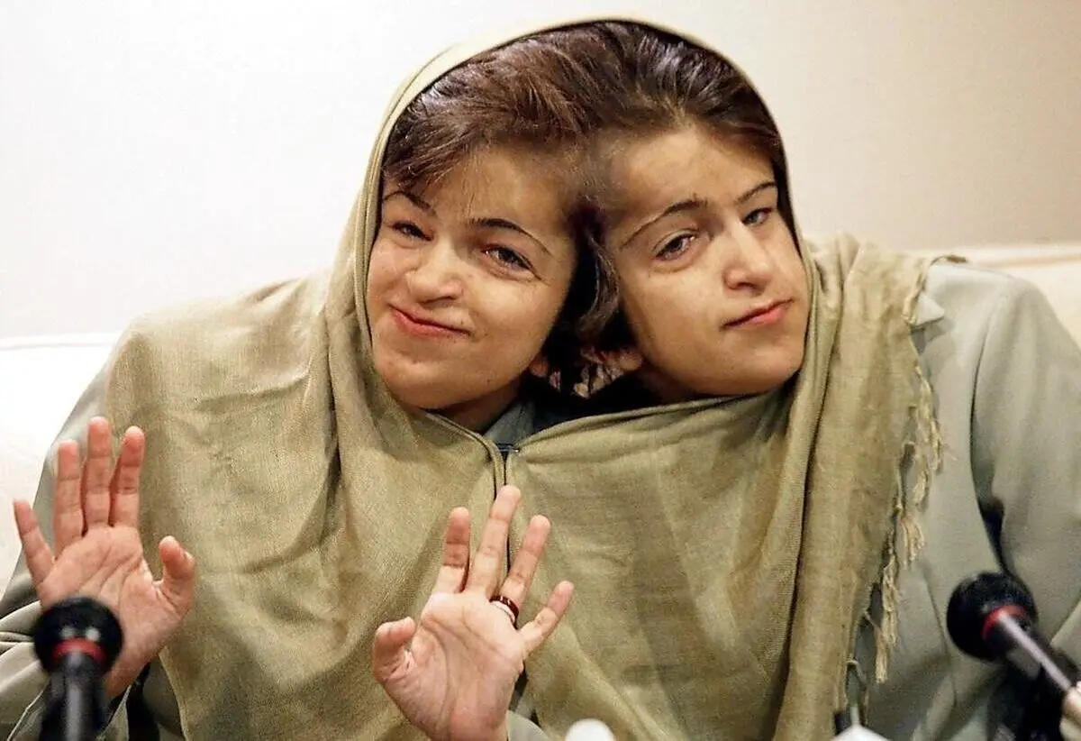 لاله و لادن