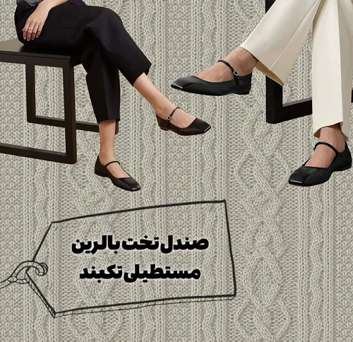 کفش‌های همیشگی