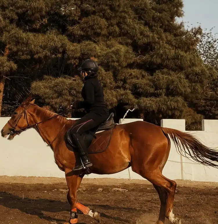  الهام پاوه‌نژاد