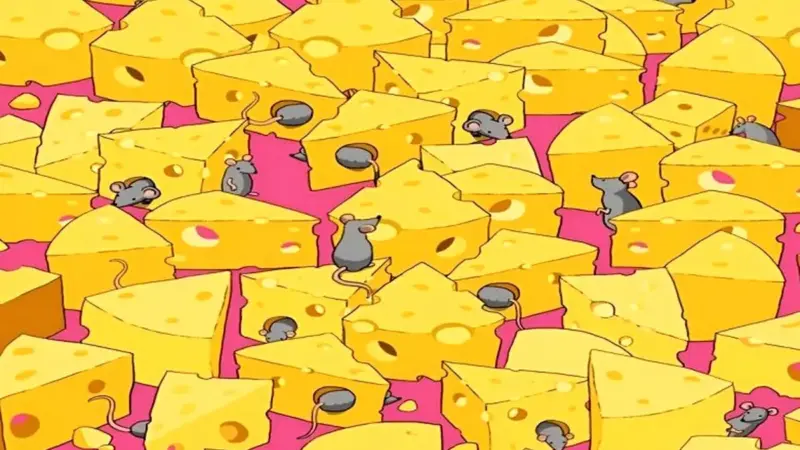 چالش دیدنی: می‌توانید تاس مخفی بین موش‌ها و پنیرها را در 6 ثانیه پیدا کنید؟