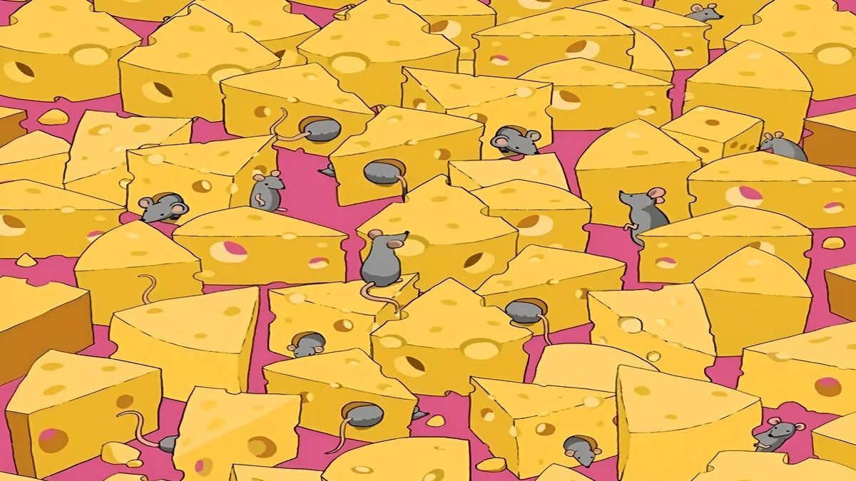 تست بینایی یافتن تاس میان پنیرها و موشها