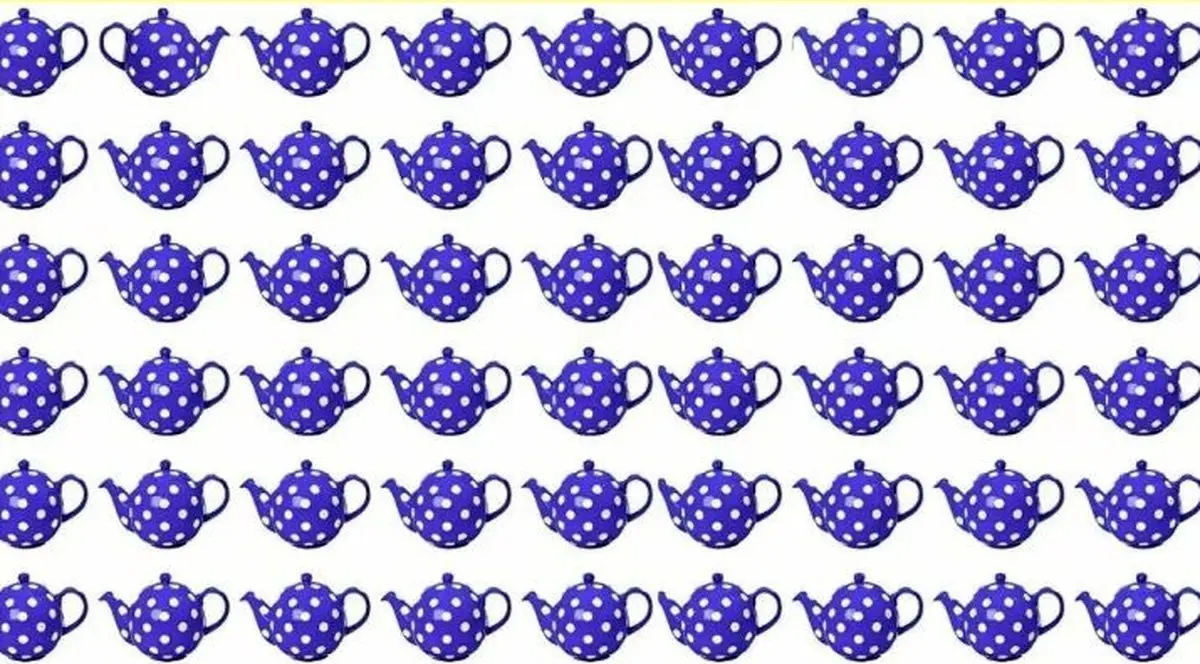 اگر تیز بینی ثابت کن/ با پیدا کردن قوری متفاوت، اثبات کنید که چشمان تیز و عقابی دارید