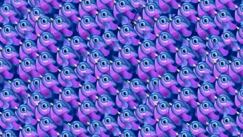 تست بینایی را اگر تیزبینی سه سوته حل کن/  پروانه را میان پرندگان پیدا کنید 