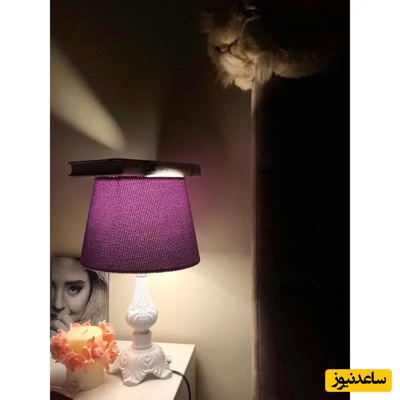 منزل نرگس محمدی