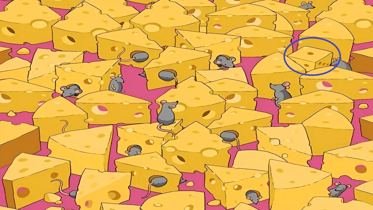 پاسخ تست بینایی یافتن تاس میان پنیرها و موشها