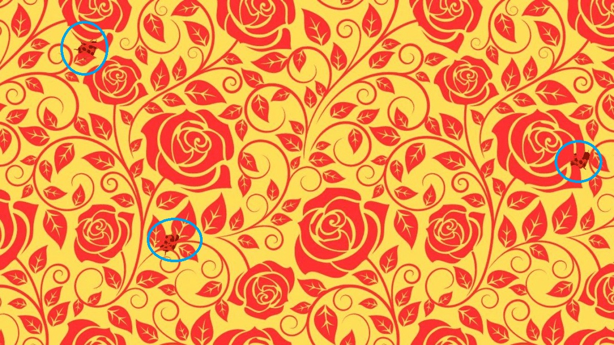 پاسخ تست بینایی ۳ کفشدوزک در میان گل‌های رز