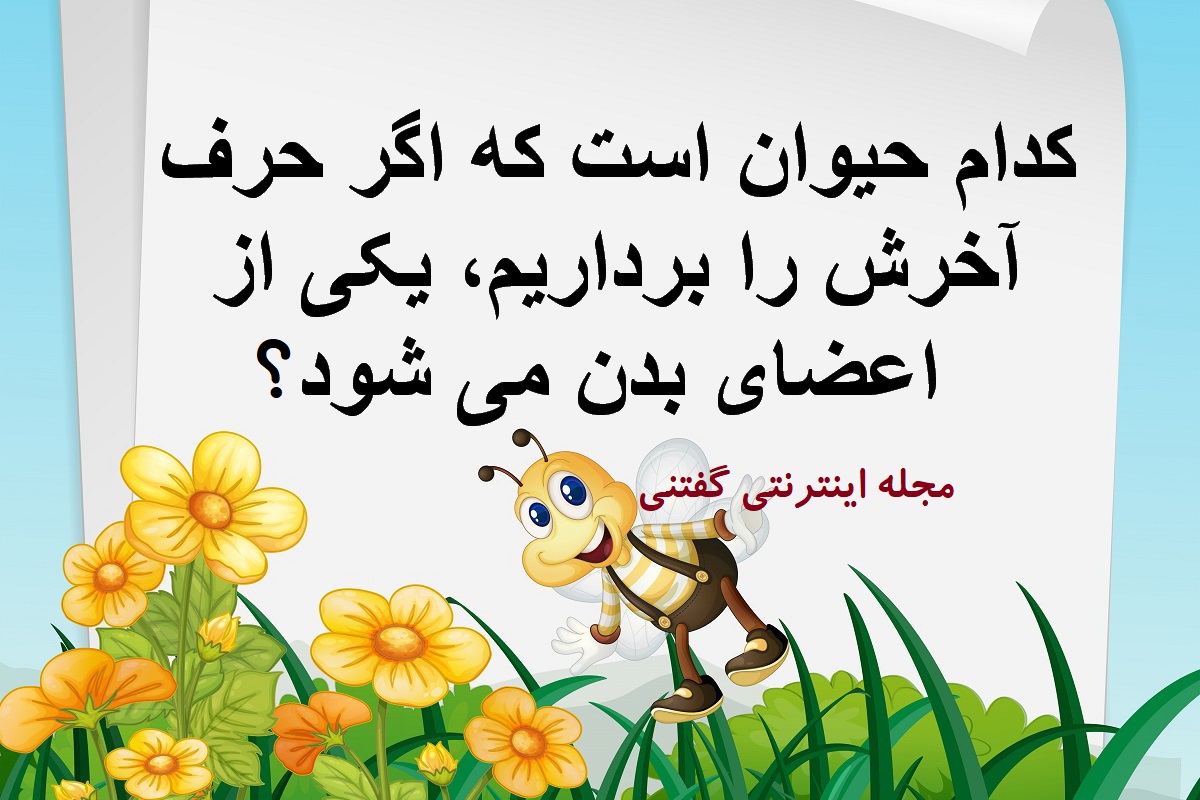 چیستان حیوان و اعضای بدن