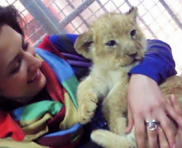 سمیرا حسینی