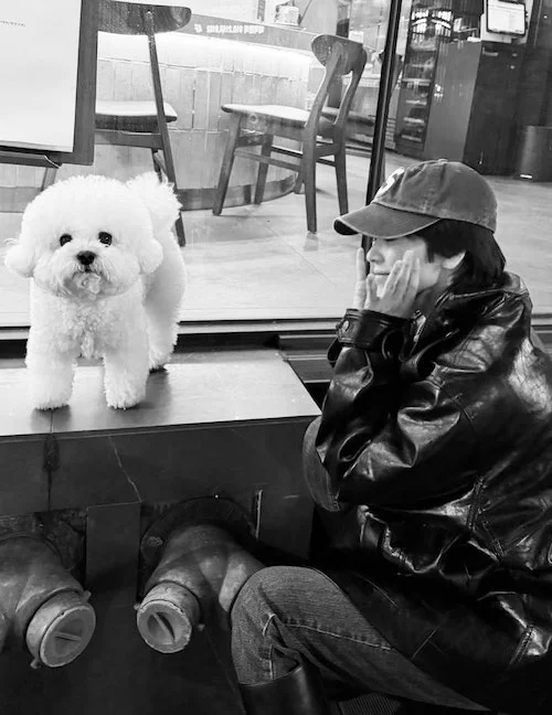 استایل‌های رنگارنگ سونگ هه‌کیو