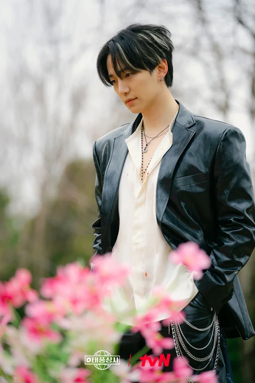 استایل‌های خانواده تایفون