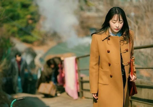 استایل‌های خانواده تایفون