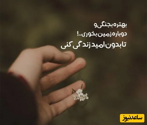 پیام امروز کائنات برای تو؛ همین حالا مسیر موفقیت را آغاز کن! - تصویر شاخص