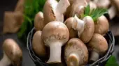 از فواید قارچ برای سلامت قلب غافل نشوید