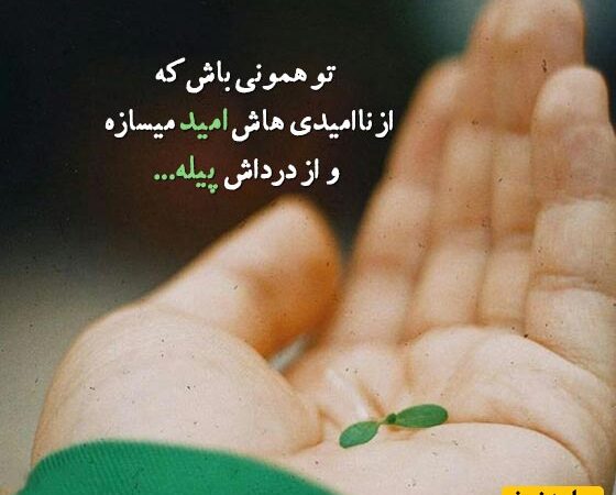 پیام انگیزشی امروز مخصوص تو؛ وقتی هیچ‌کس تو رو درک نمی‌کنه، وقتی حس می‌کنی تنهائی، اون لحظه‌ها مقدسن. چون…+ پیام کائنات امروز 6 دی 1404+ ویدئو