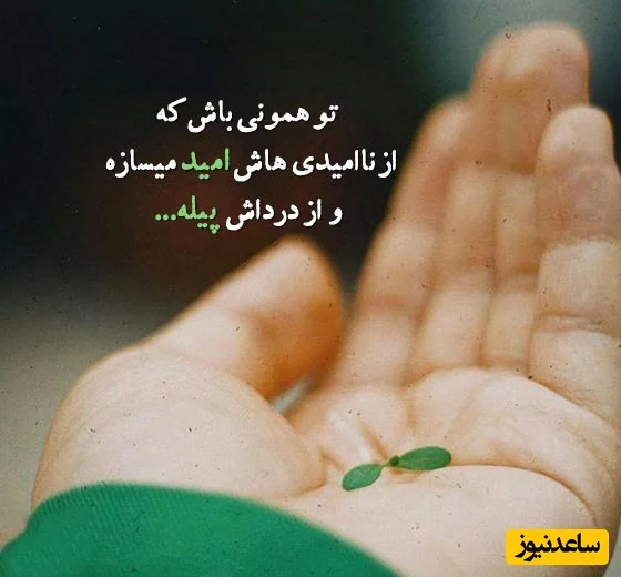 پیام انگیزشی امروز مخصوص تو؛ وقتی هیچ‌کس تو رو درک نمی‌کنه، وقتی حس می‌کنی تنهائی، اون لحظه‌ها مقدسن. چون…+ پیام کائنات امروز 6 دی 1404+ ویدئو - تصویر شاخص