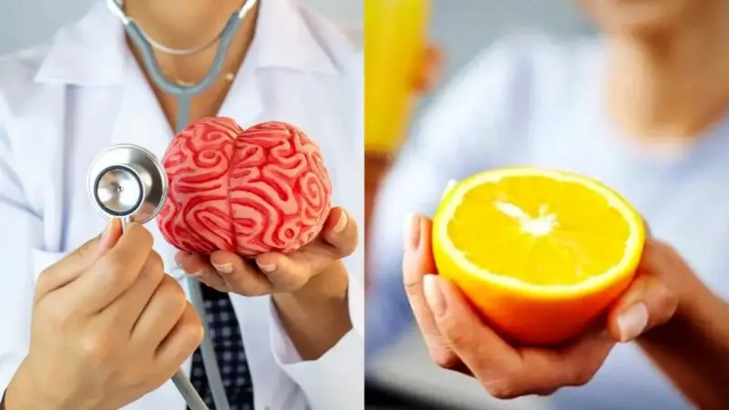 با مصرف این میوه ها عملکرد مغز را تقویت کنید