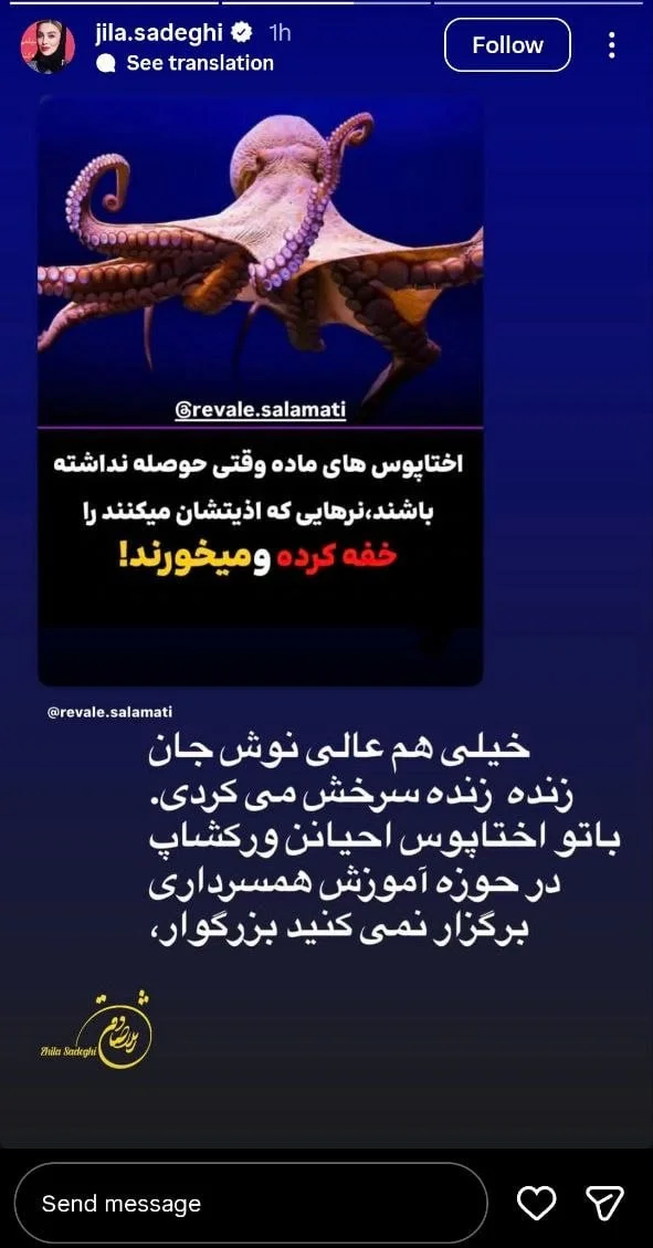 photo_2025-12-16_21-52-04