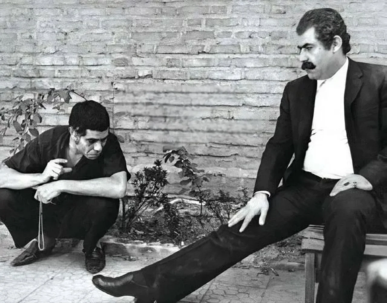 photo_2025-12-22_23-49-43