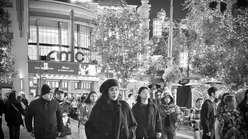 عکس| استایل پریچهر قنبری، همسر سابق شهاب حسینی در اروپا/ خانم مشهور در تولد ۴۵ سالگی و کریسمس چه پیامی داد؟