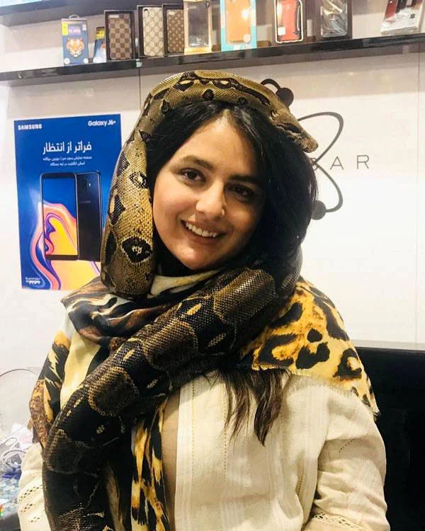 میترا ابراهیمی