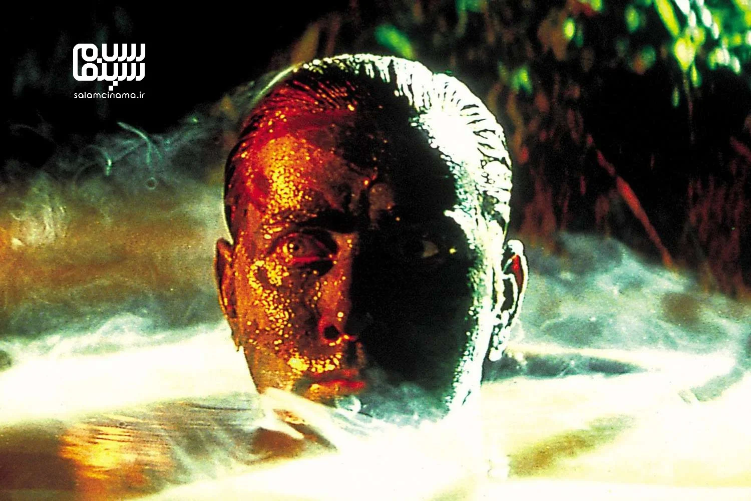 آیا همه فیلم‌های ترسناک واقعا ژانر وحشت هستند؟ واقعیتی که نمی‌دانستید!