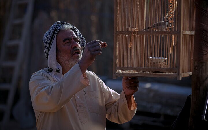 نخستین عکس سروش صحت و سعید آقاخانی در «پل»