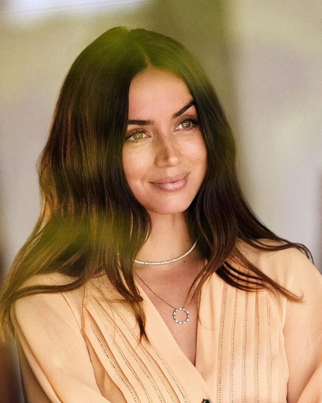 بیوگرافی آنا د آرماس