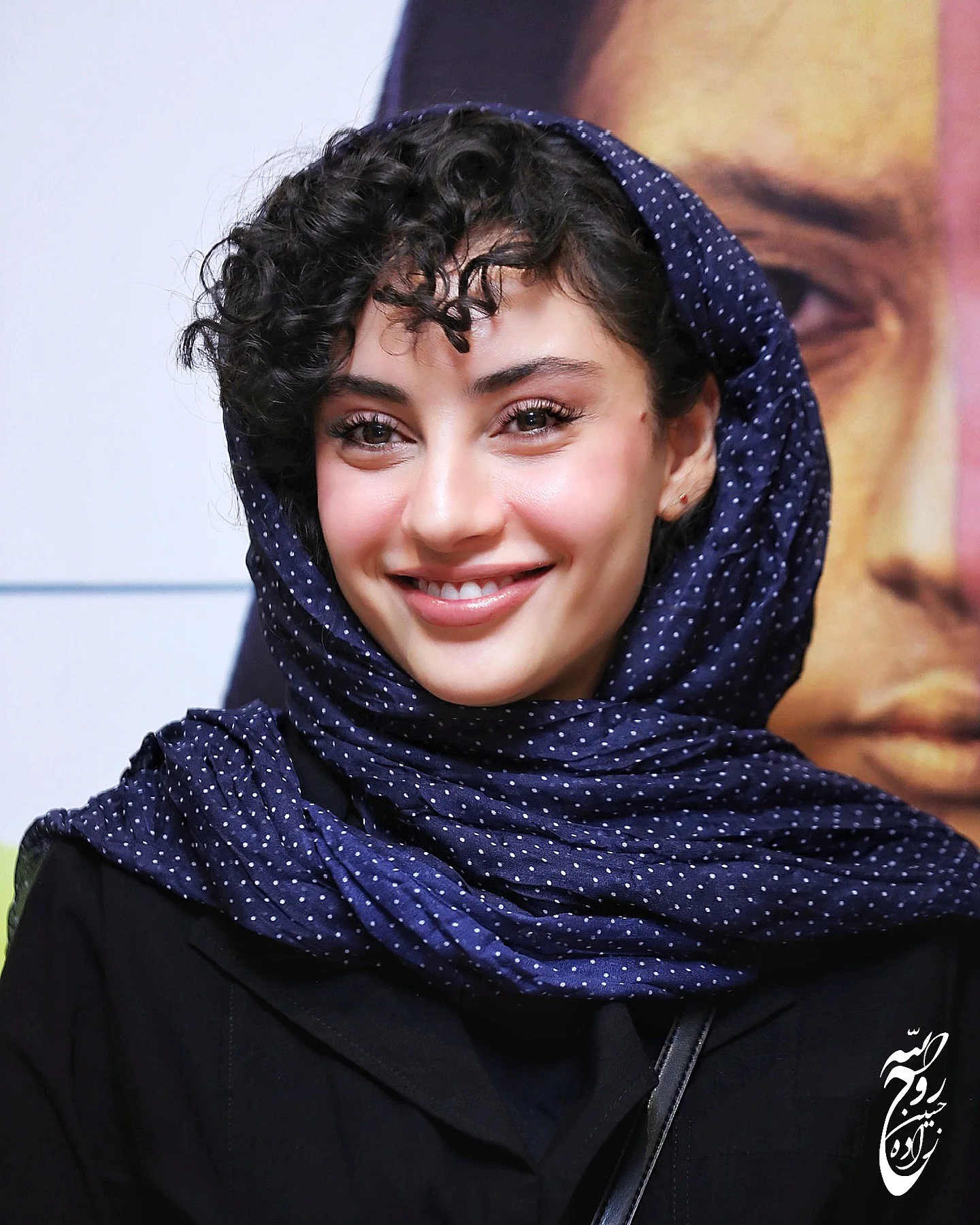 بیوگرافی ترلان پروانه