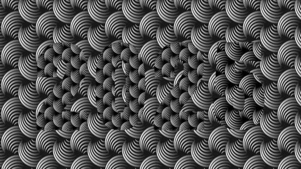 تست بینایی یافتن عدد پنهان در تصویر