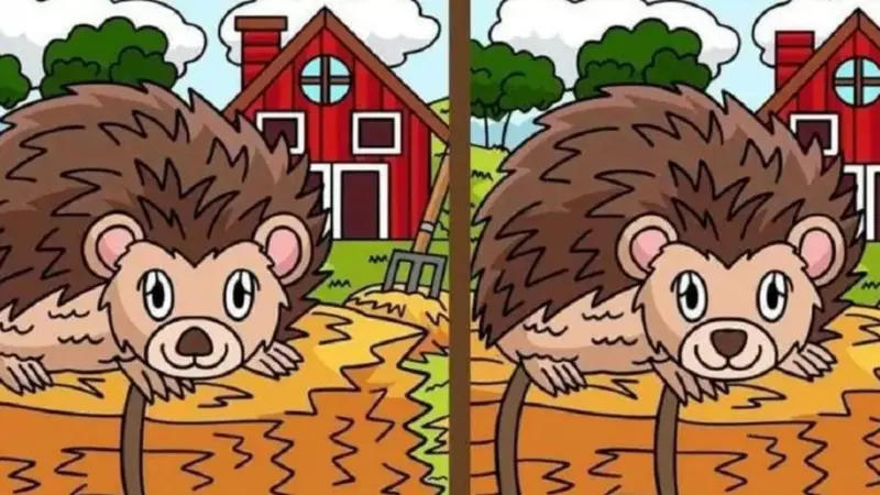 آیا می‌توانید در ۸ ثانیه ۴ تفاوت پنهان جوجه تیغی‌ها را پیدا کنید؟ آزمون بینایی چالش‌برانگیز!