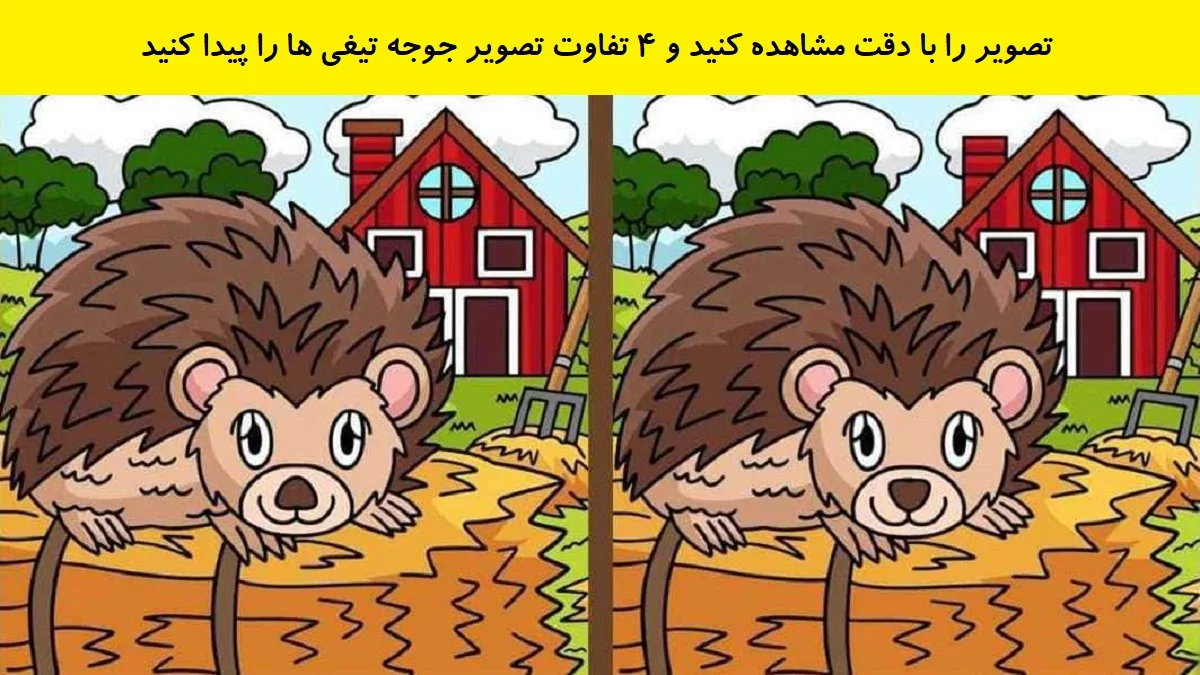 تفاوت تصویری جوجه تیغی در مزرعه