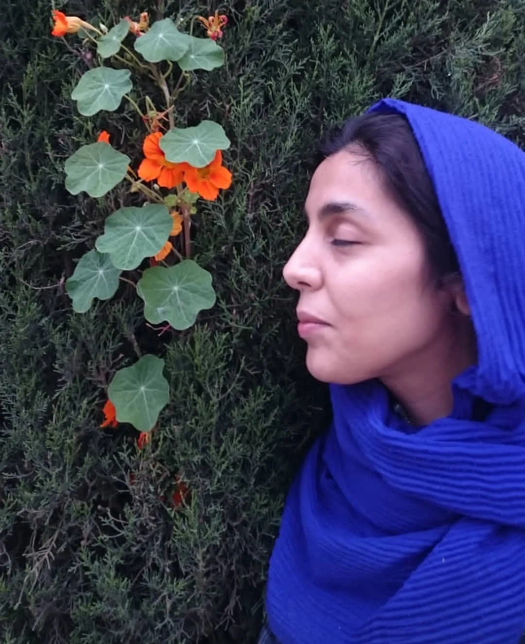 زکیه بهبهانی بیوگرافی