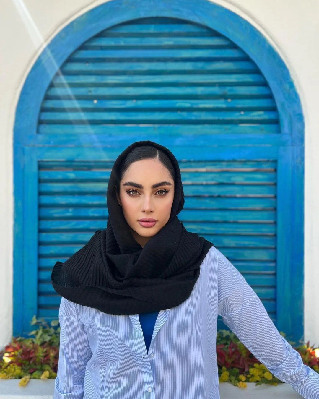 عکس ترلان پروانه