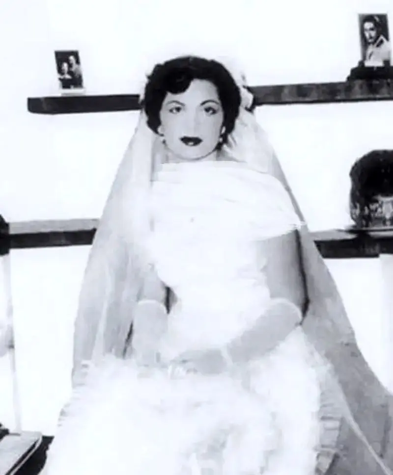 557442174_24939206785714058_9208566338275102467_n