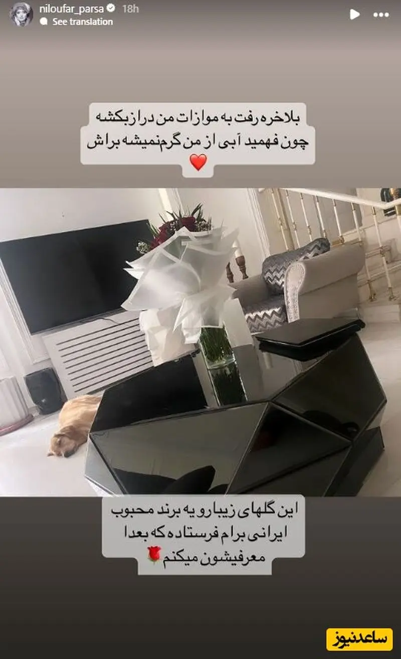 استوری نیلوفر پارسا