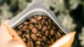 همه چیز را درباره گاز زدایی قهوه بدانید
