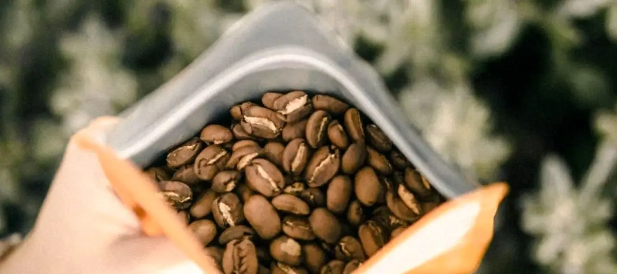 همه چیز را درباره گاز زدایی قهوه بدانید