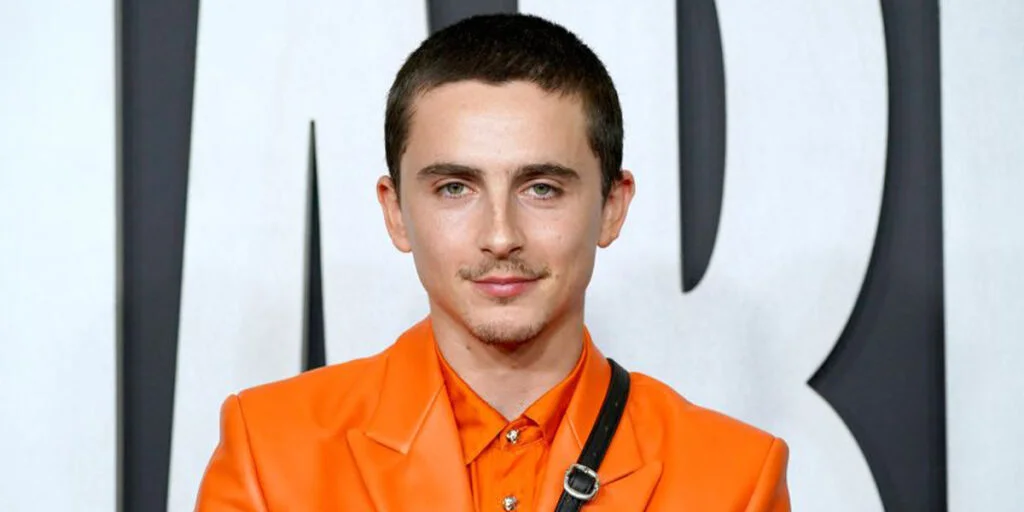 استایل متفاوت تیموتی شالامه