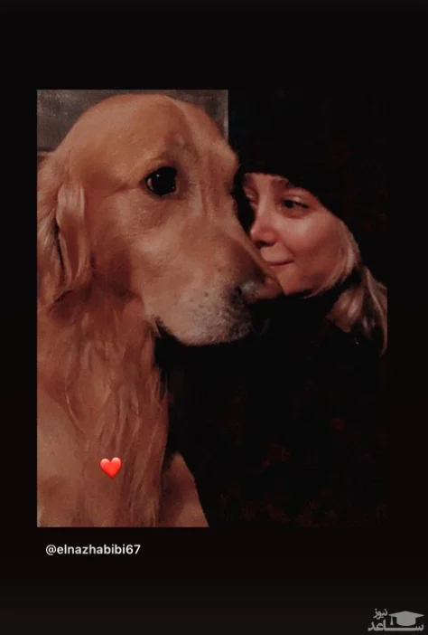 الناز حبیبی