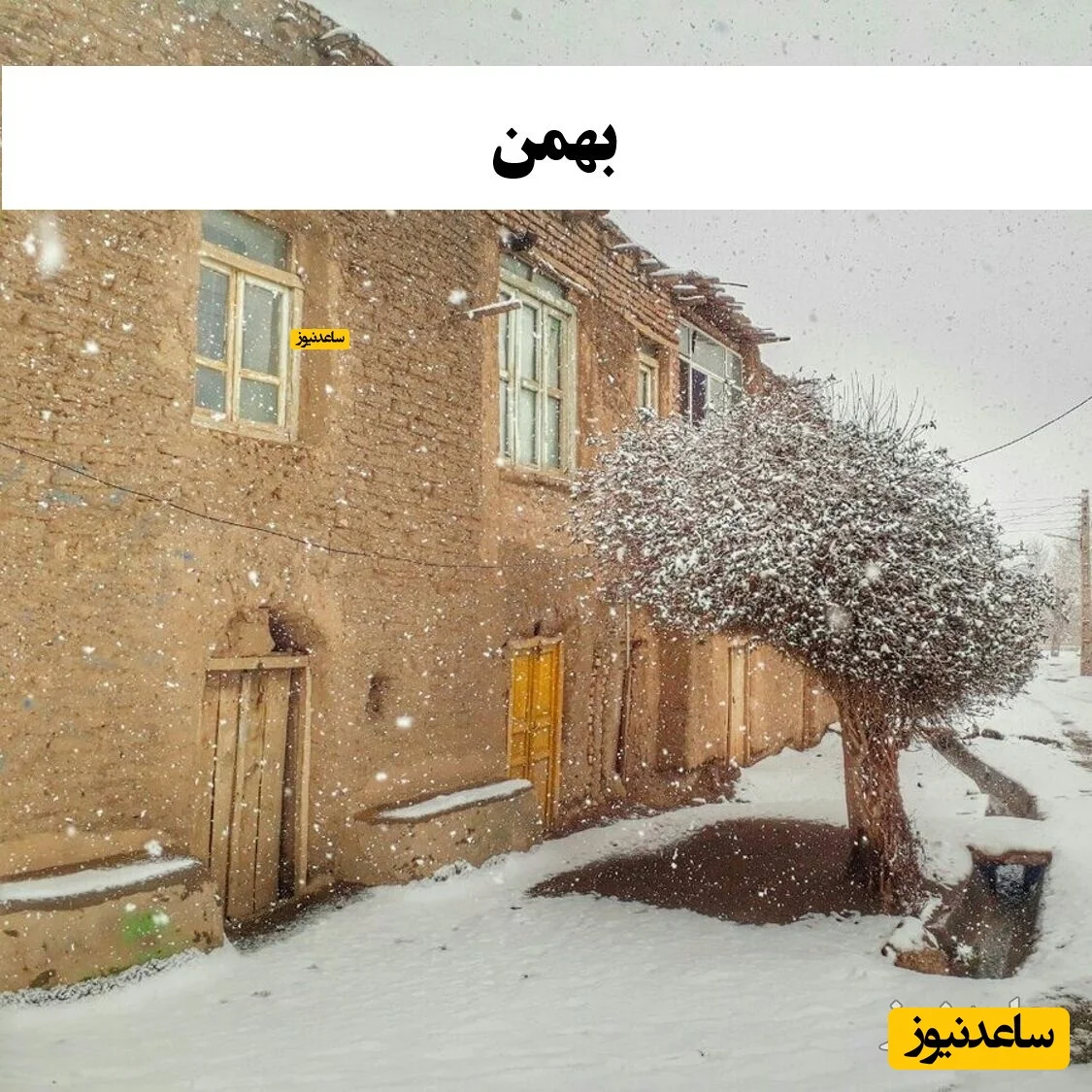 بهمن