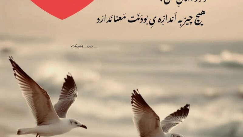 طالع‌بینی امروز 11 دی؛ وقتی دلت بی‌قراره اما سکوت می‌کنی، قلبت چه رازی دارد؟